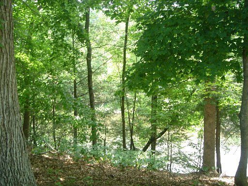 4th image of Creekstone Cir