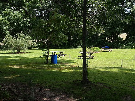 5 Picnic beside the stream