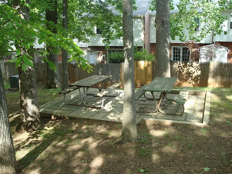 6525 Orono Ct — Photo 28