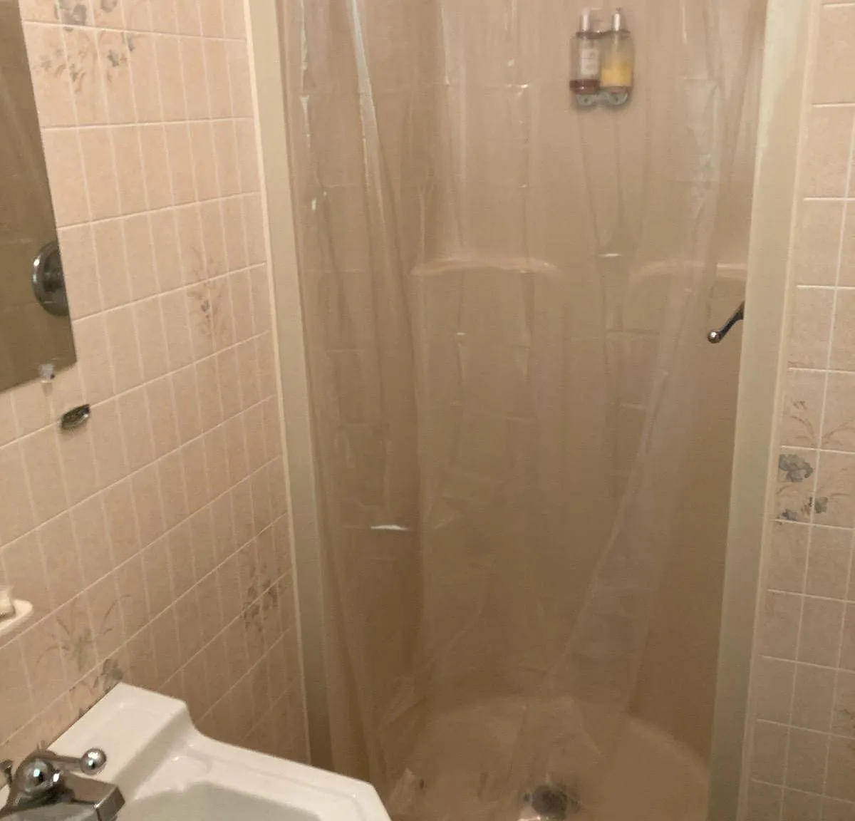 1 bed, 400 sqft, $800 — Photo 2