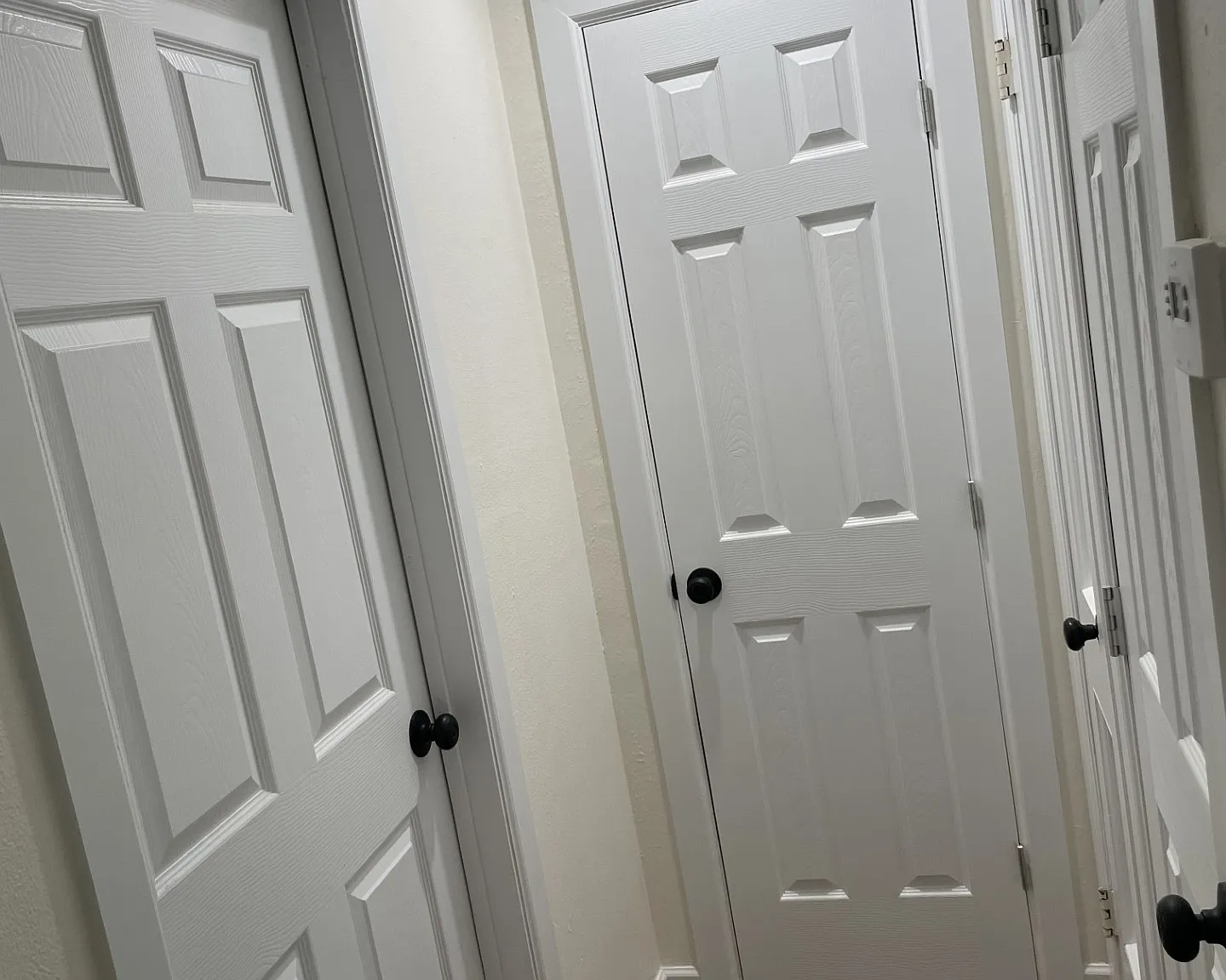 2 bed, 800 sqft, $1,325 — Photo 2