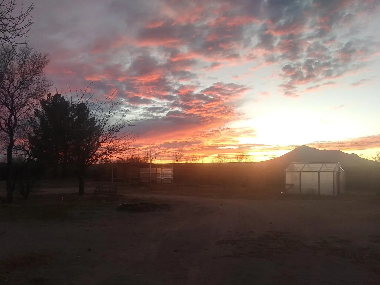 1 bed, 550 sqft, $1,400 — Photo 3