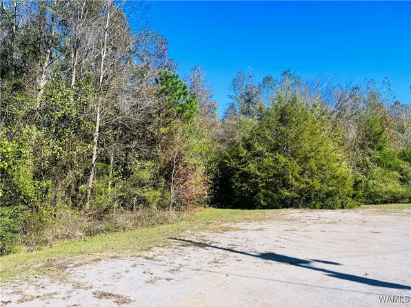 16 Jennings Ferry Rd, Akron, AL 35441