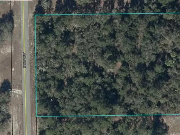 NE 576th St Lot 11, Old Town, FL 32680