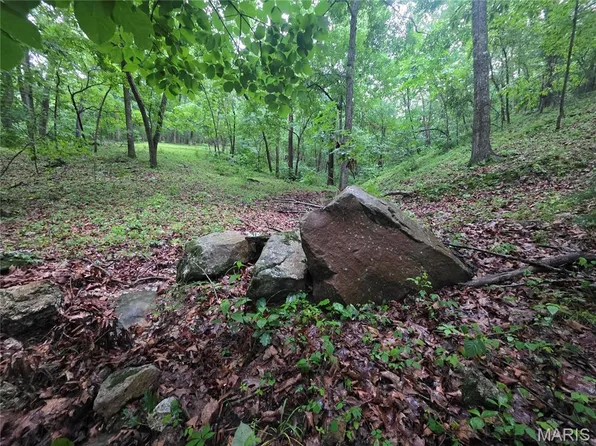 0 County Road 8500, Newburg, MO 65550