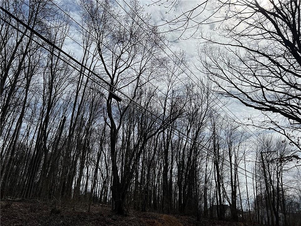 1st image of 338 Kings Highway