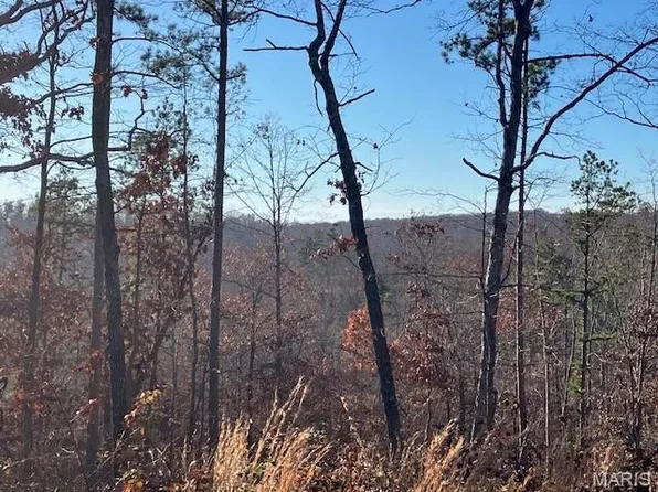 55 Madison St #410, Fredericktown, MO 63645