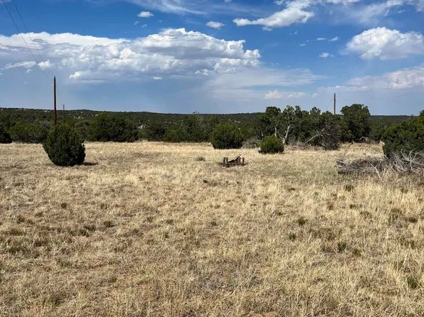 Buffalo Dr N #95, Walsenburg, CO 81089