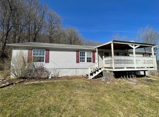 7653 Doorley Rd, Hornell, NY 14843
