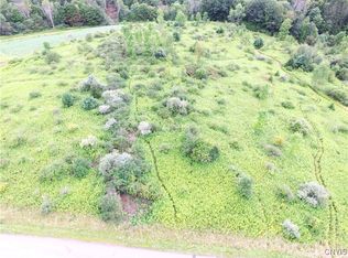 33 Pease Hill Rd #4, Whitney Pt, NY 13862