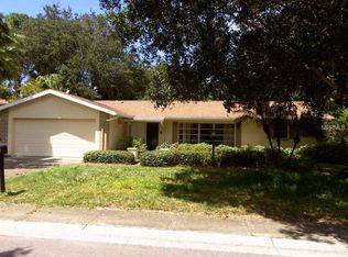 2120 Flamingo Pl, Safety Harbor, FL 34695