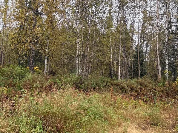 21174 E Alitak Rd, Talkeetna, AK 99676