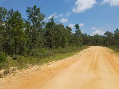 Adams Dr, Alford, FL, 32420