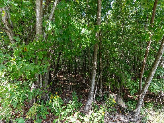 2nd image of 0 W Deep Gap Farm Rd #2040