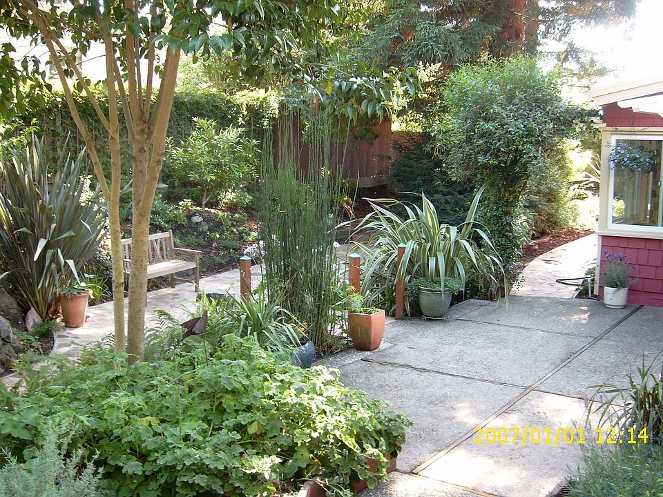 Private Garden Behind Fence