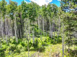 129 Badger Cir, Lake George, CO 80827