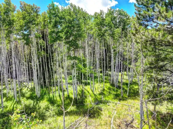129 Badger Circle, Lake George, CO 80827