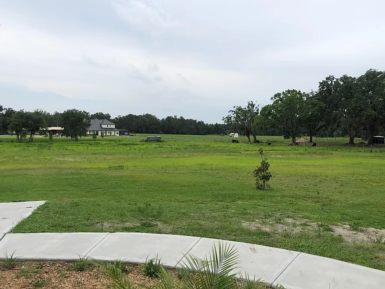 3127 Wallace Branch Rd — Photo 10