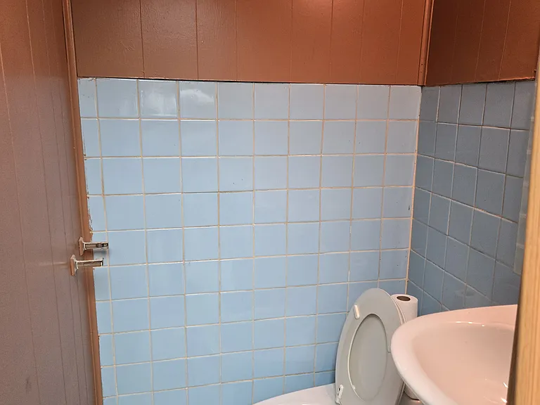 Basement half-bath.