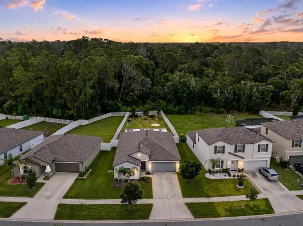 13411 Willow Bluestar Loop, Riverview, FL 33579