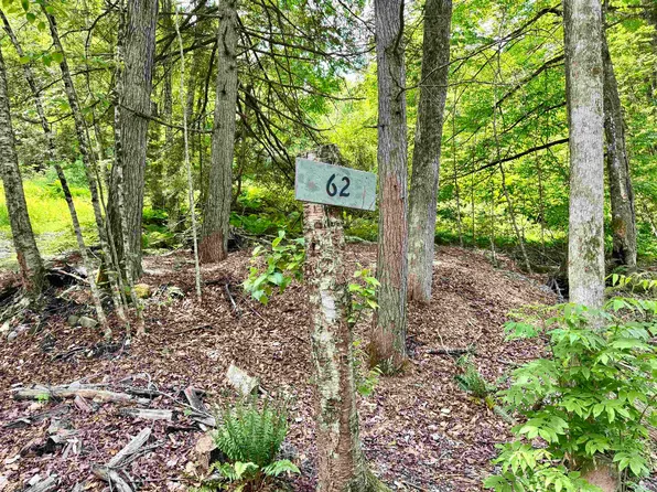 62 Foundry Road, Tunbridge, VT 05077