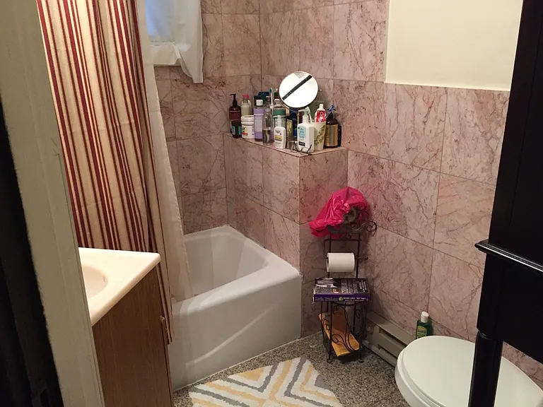 8 Palfrey St #1 — Photo 6