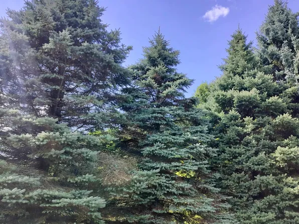 0 Estates Dr, Fort Gratiot, MI 48059