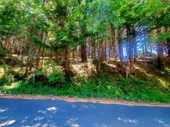 416 Beach Rd, Whitethorn, CA 95589