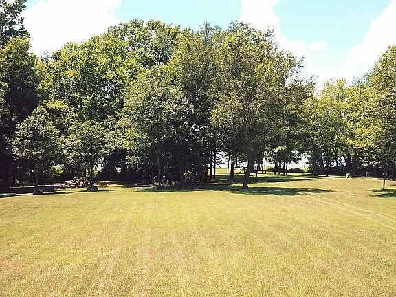 View from Kitchen window