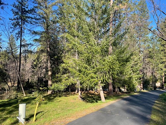 3rd image of 1575 Ridgemore Dr
