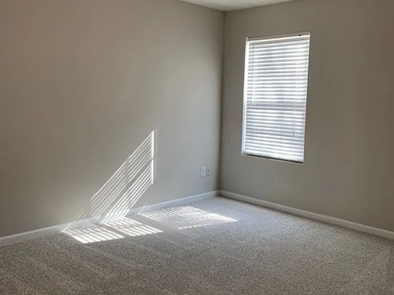 213 Carolina Town Ln — Photo 15