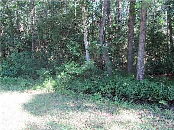 5th image of 9339 Alekai Dr