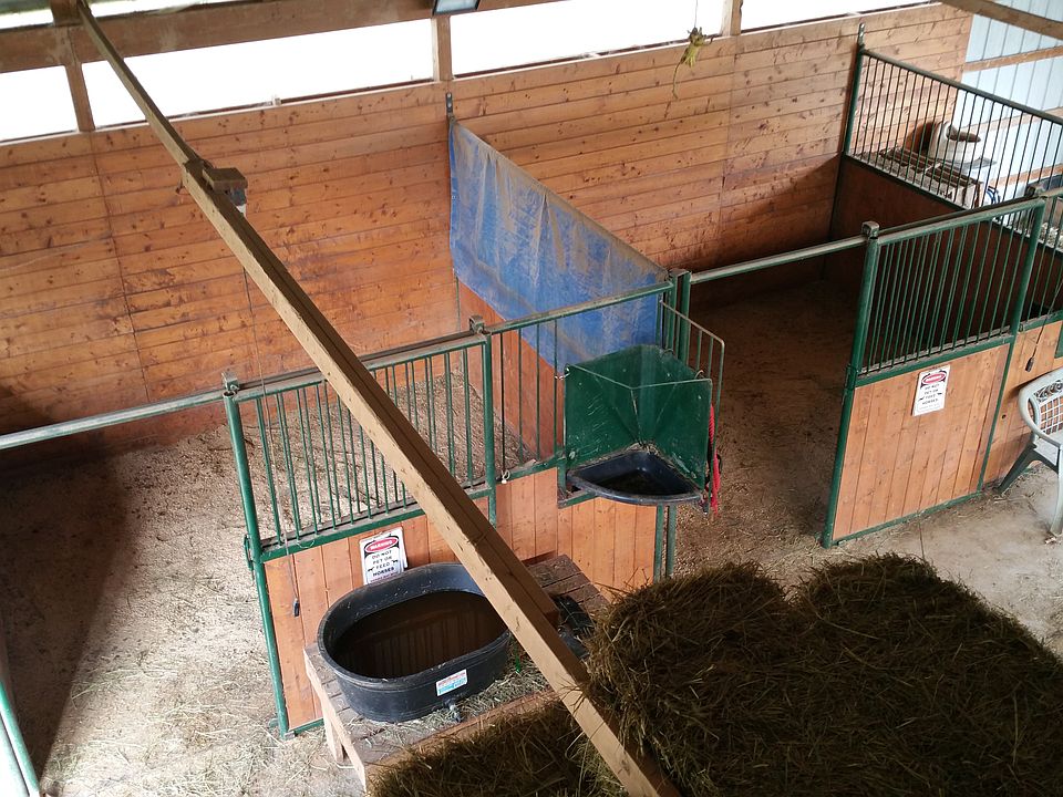 Barn Stalls