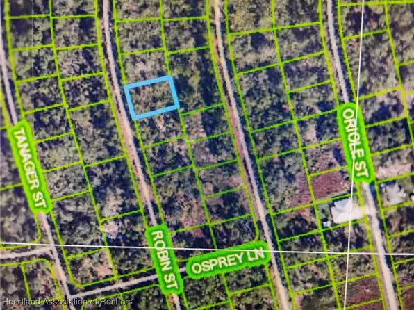 1053 Robin St, Lake Placid, FL 33852