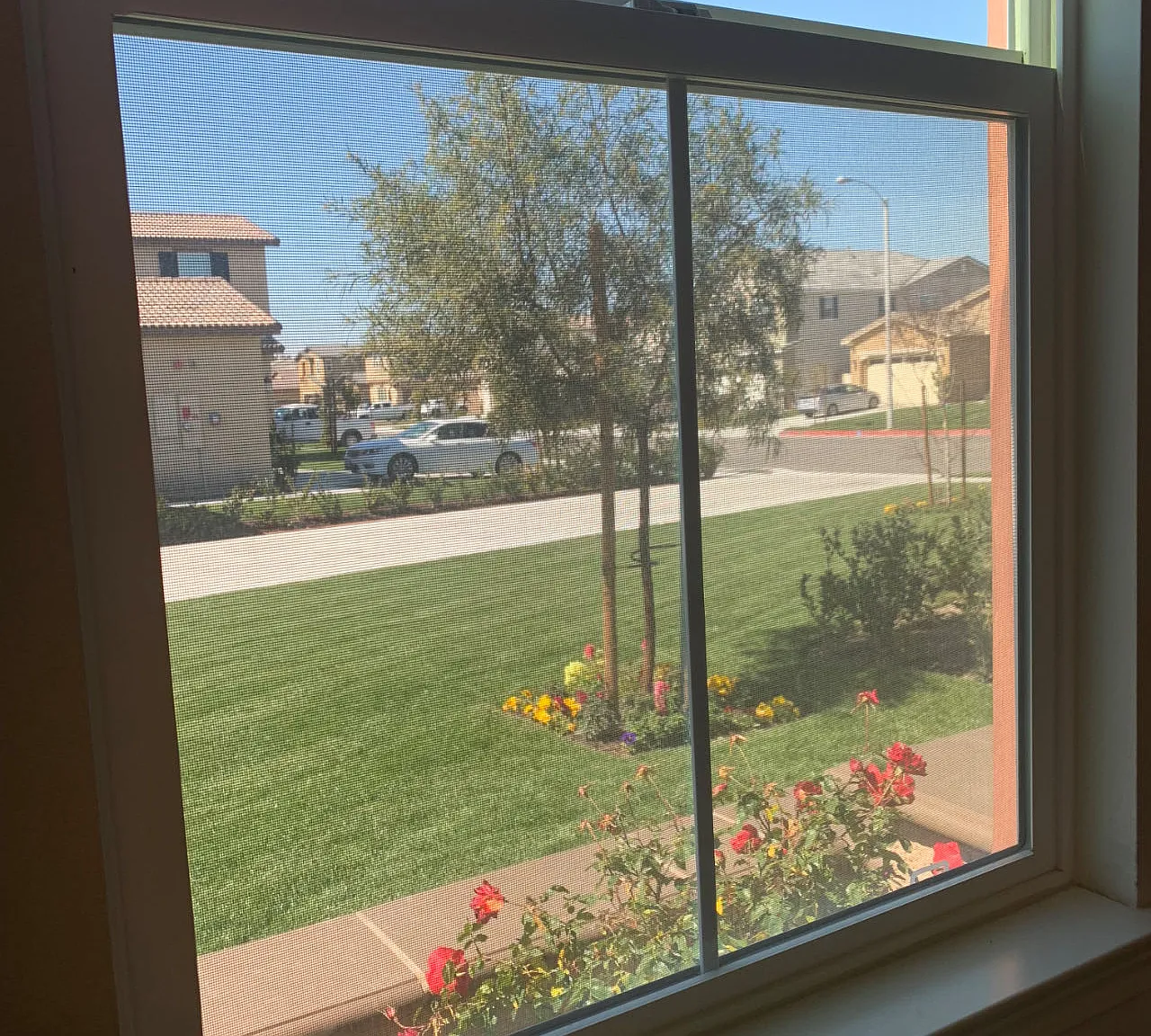 1 bed, $1,600 — Photo 3