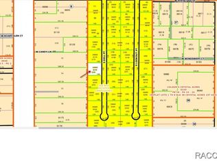 1636 S Dell Point, Homosassa, FL 34448