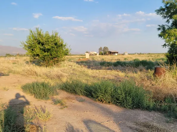 10533 N Mormon Road #-, Elfrida, AZ 85610