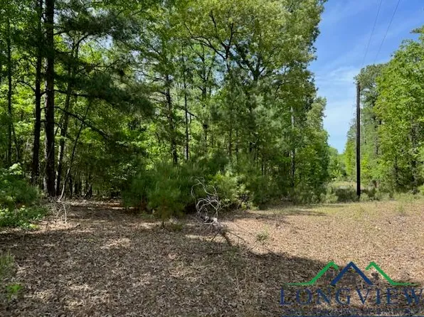 2900 Brandy Rd, Diana, TX 75640