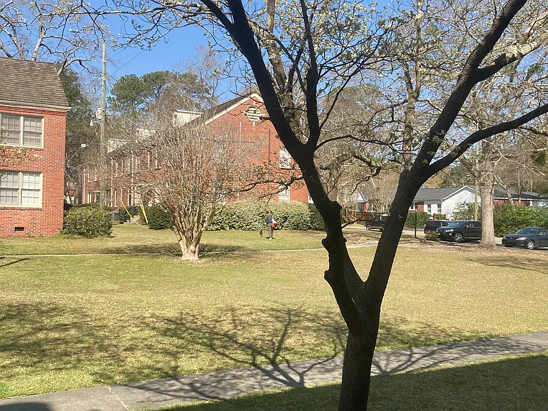 Lawn in front of building