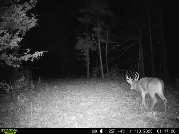 Highway 21, Ellington, MO 63638