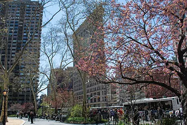Rented by Luxus Manhattan Realty