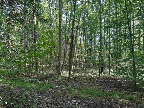 4 W View Ln, Masontown, WV 26542