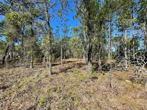 LOT 2 SE 133rd Ct Lot 2, Morriston, FL 32668