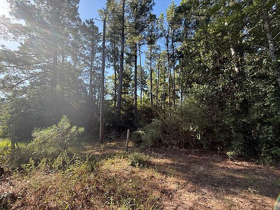 2nd image of County Road 3385