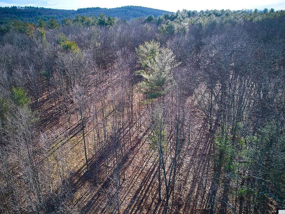 0 Snydertown Estate Rd H, Taghkanic, NY 12521 Zillow