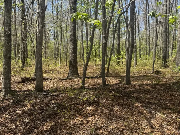 0 Doe Creek Loop, Sparta, TN 38583