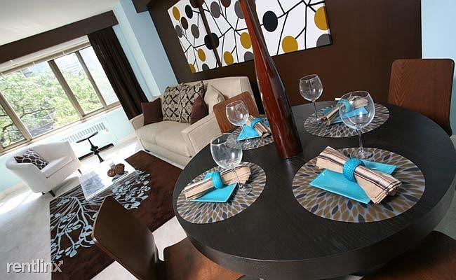 lakeshoredriveaptlivingroom