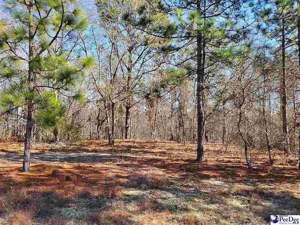 2nd image of 4 Off Of Meadow View Dr