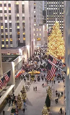 Rented by Douglas Elliman | media 18