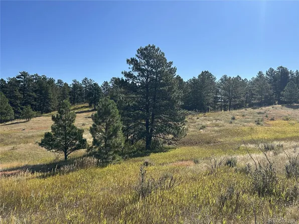 10856 Tomahawk Road, Parker, CO 80138